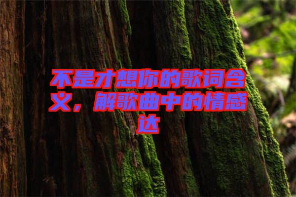 不是才想你的歌詞含義，解歌曲中的情感達