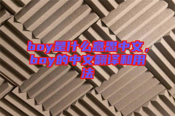boy是什么意思中文，boy的中文翻譯和用法