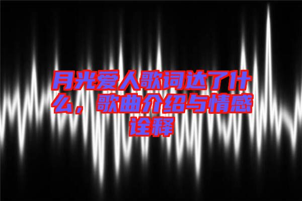 月光愛人歌詞達了什么，歌曲介紹與情感詮釋