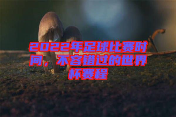 2022年足球比賽時(shí)間，不容錯(cuò)過(guò)的世界杯賽程