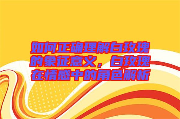 如何正確理解白玫瑰的象征意義，白玫瑰在情感中的角色解析