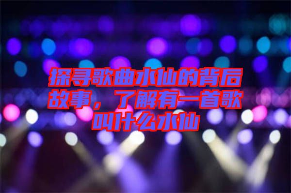 探尋歌曲水仙的背后故事，了解有一首歌叫什么水仙