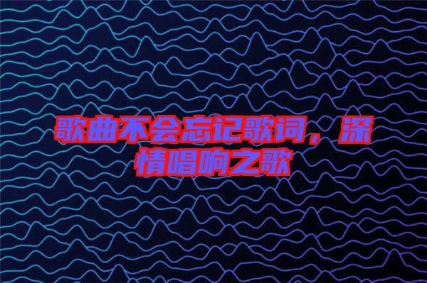 歌曲不會(huì)忘記歌詞，深情唱響之歌