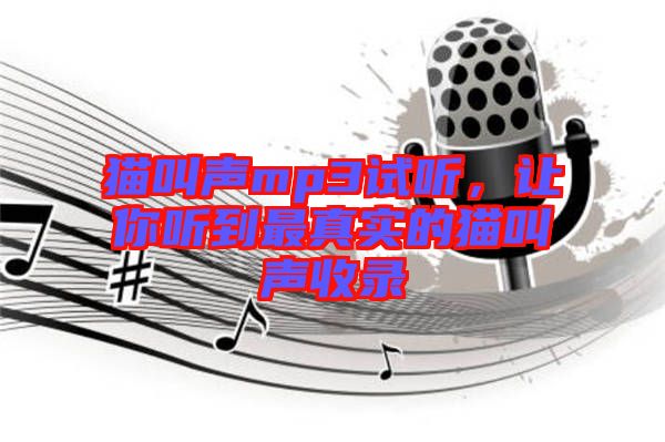 貓叫聲mp3試聽，讓你聽到最真實的貓叫聲收錄