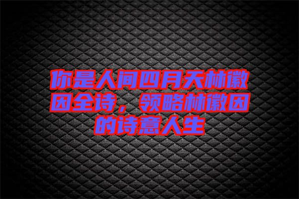 你是人間四月天林徽因全詩，領(lǐng)略林徽因的詩意人生