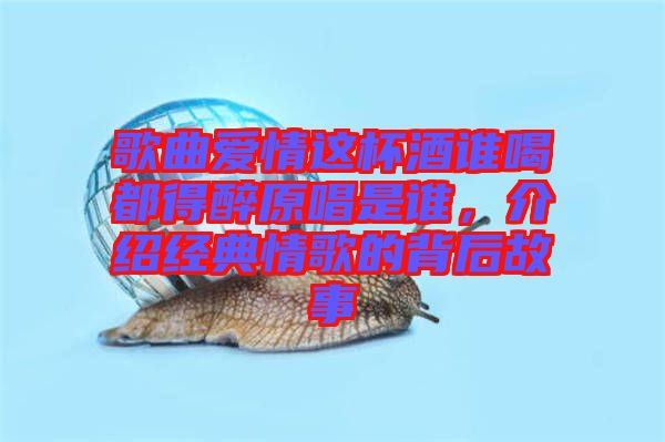 歌曲愛情這杯酒誰喝都得醉原唱是誰，介紹經(jīng)典情歌的背后故事