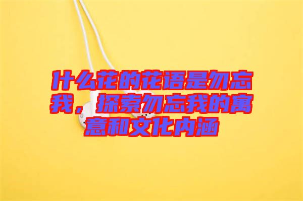 什么花的花語是勿忘我，探索勿忘我的寓意和文化內(nèi)涵