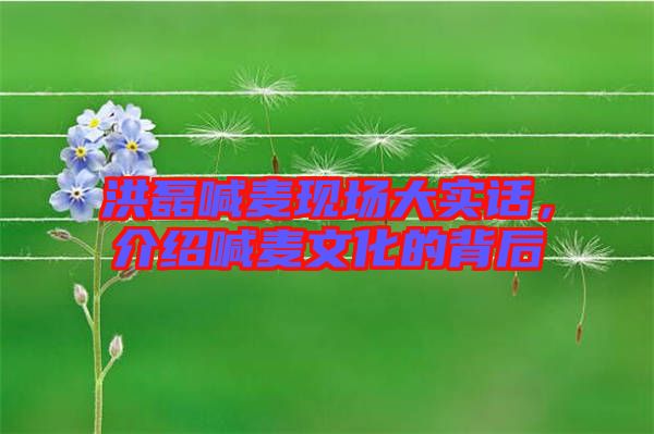 洪磊喊麥現(xiàn)場大實話，介紹喊麥文化的背后