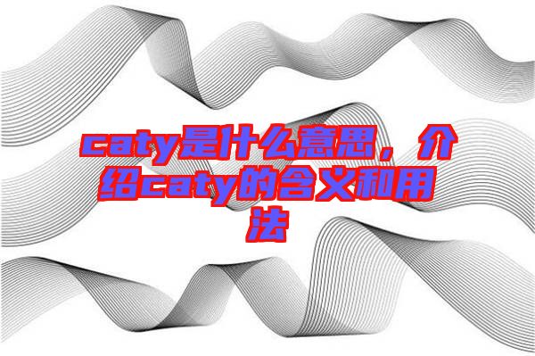 caty是什么意思，介紹caty的含義和用法