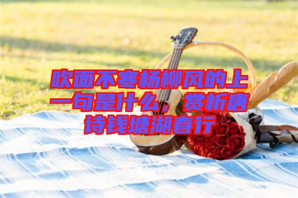 吹面不寒楊柳風(fēng)的上一句是什么，賞析唐詩(shī)錢(qián)塘湖春行