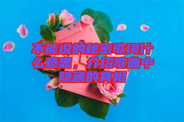 不能說的秘密歌詞什么意思，介紹歌曲中隱藏的真相