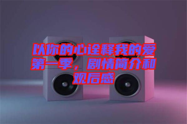 以你的心詮釋我的愛第一季，劇情簡介和觀后感