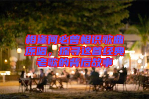 相逢何必曾相識(shí)歌曲原唱，探尋這首經(jīng)典老歌的背后故事