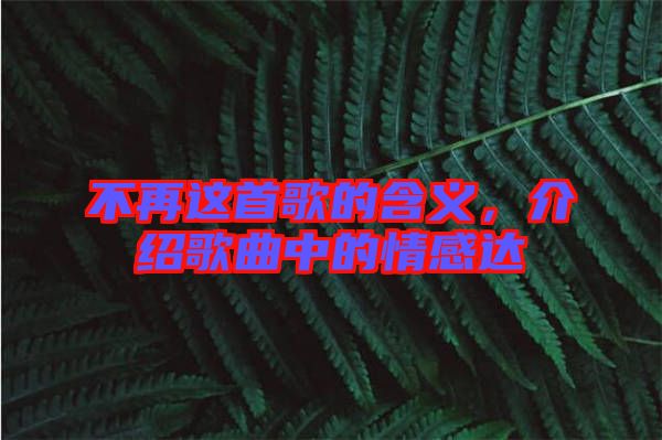 不再這首歌的含義，介紹歌曲中的情感達