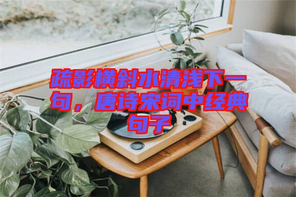 疏影橫斜水清淺下一句，唐詩宋詞中經(jīng)典句子