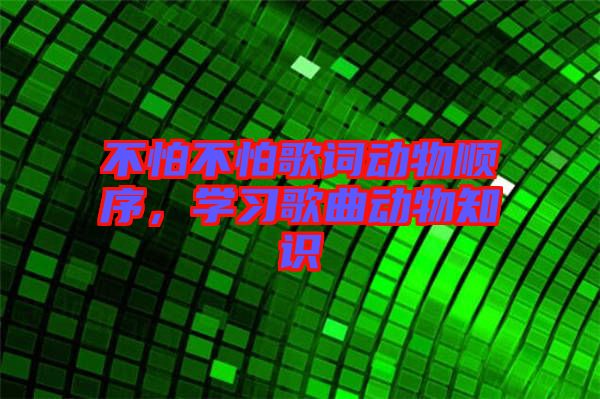 不怕不怕歌詞動(dòng)物順序，學(xué)習(xí)歌曲動(dòng)物知識