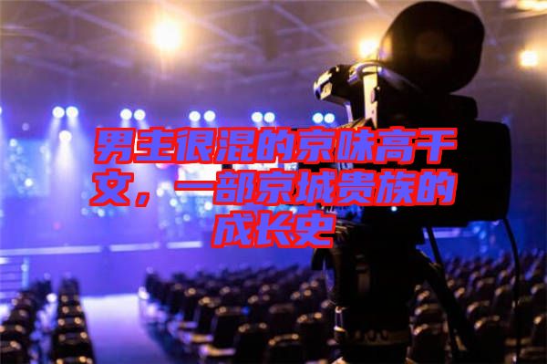 男主很混的京味高干文，一部京城貴族的成長史