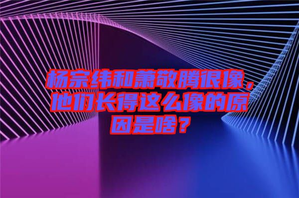 楊宗緯和蕭敬騰很像，他們長得這么像的原因是啥？