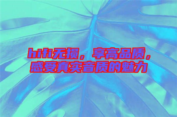 hifi無損，享高品質(zhì)，感受真實音質(zhì)的魅力