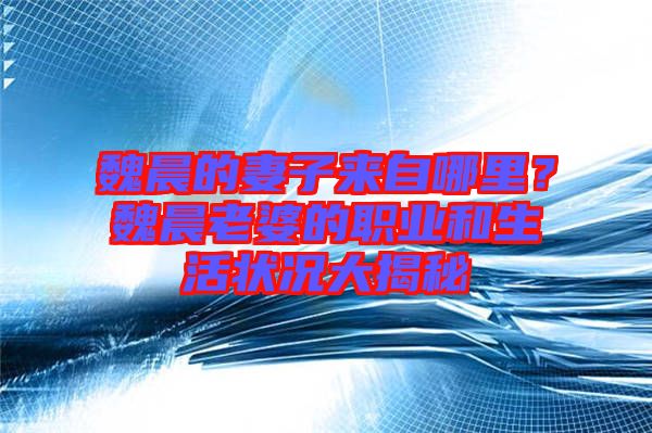 魏晨的妻子來自哪里？魏晨老婆的職業(yè)和生活狀況大揭秘