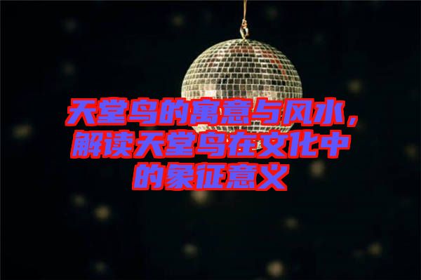 天堂鳥的寓意與風水，解讀天堂鳥在文化中的象征意義