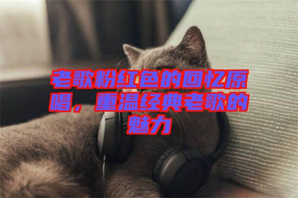 老歌粉紅色的回憶原唱，重溫經(jīng)典老歌的魅力