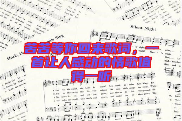 苦苦等你回來歌詞，一首讓人感動的情歌值得一聽