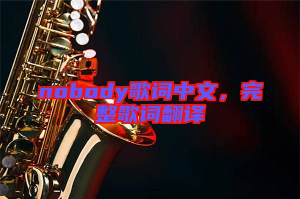 nobody歌詞中文，完整歌詞翻譯