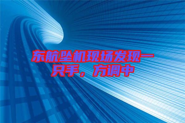 東航墜機(jī)現(xiàn)場發(fā)現(xiàn)一只手，方調(diào)中