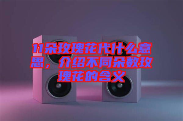 11朵玫瑰花代什么意思，介紹不同朵數(shù)玫瑰花的含義