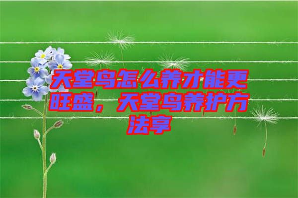 天堂鳥怎么養(yǎng)才能更旺盛，天堂鳥養(yǎng)護(hù)方法享