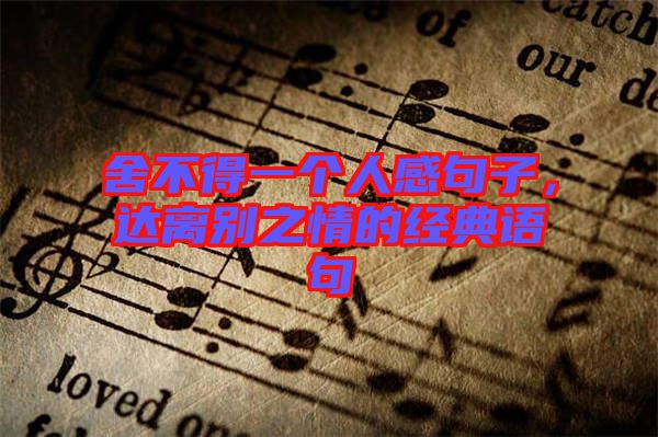 舍不得一個(gè)人感句子，達(dá)離別之情的經(jīng)典語句
