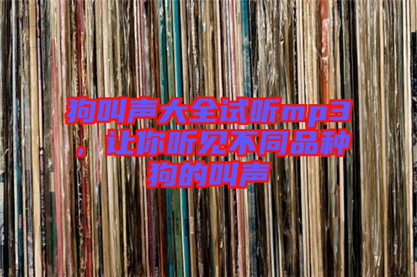 狗叫聲大全試聽mp3，讓你聽見不同品種狗的叫聲