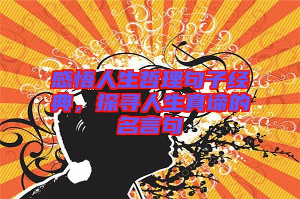 感悟人生哲理句子經(jīng)典，探尋人生真諦的名言句