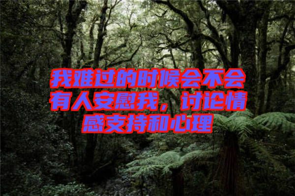 我難過(guò)的時(shí)候會(huì)不會(huì)有人安慰我，討論情感支持和心理