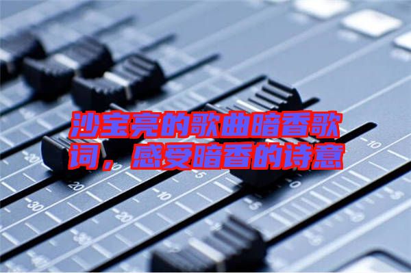 沙寶亮的歌曲暗香歌詞，感受暗香的詩意