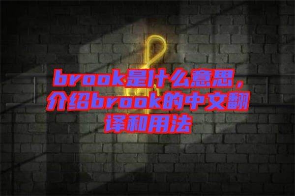 brook是什么意思，介紹brook的中文翻譯和用法