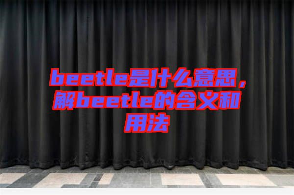 beetle是什么意思，解beetle的含義和用法