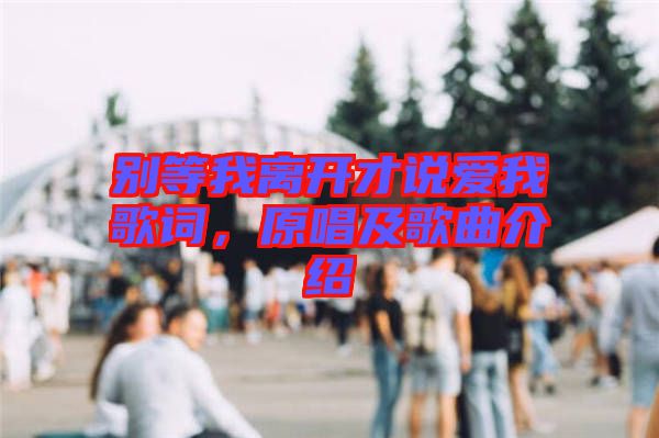 別等我離開才說愛我歌詞，原唱及歌曲介紹
