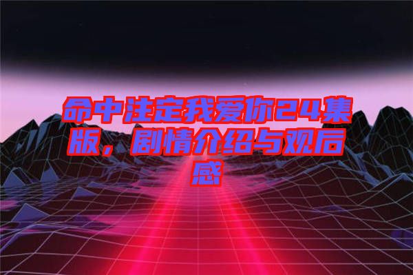 命中注定我愛你24集版，劇情介紹與觀后感
