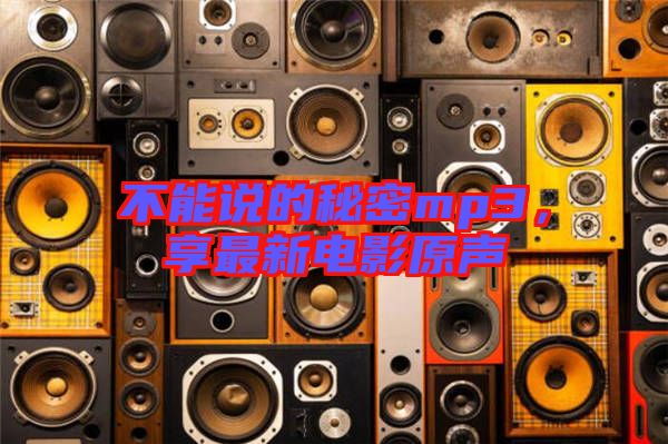 不能說的秘密mp3，享最新電影原聲