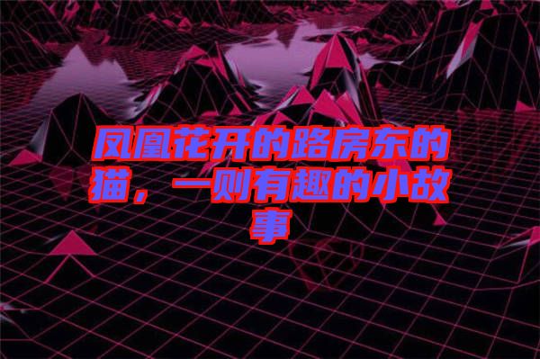 鳳凰花開的路房東的貓，一則有趣的小故事