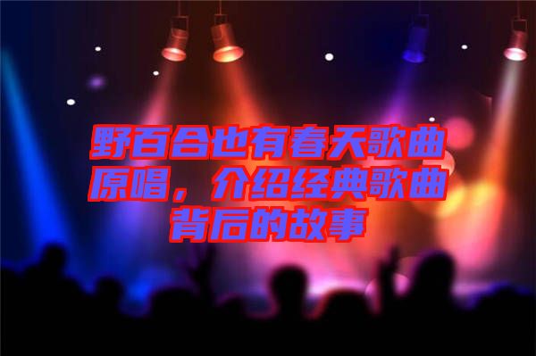 野百合也有春天歌曲原唱，介紹經(jīng)典歌曲背后的故事