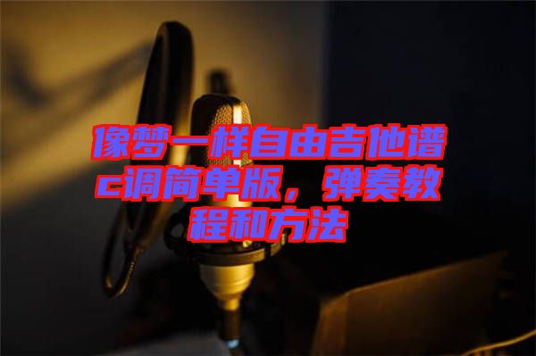 像夢(mèng)一樣自由吉他譜c調(diào)簡(jiǎn)單版，彈奏教程和方法