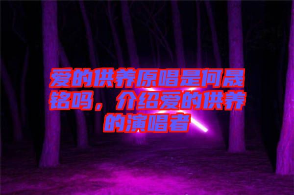 愛的供養(yǎng)原唱是何晟銘嗎，介紹愛的供養(yǎng)的演唱者