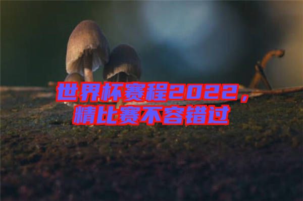 世界杯賽程2022，精比賽不容錯過