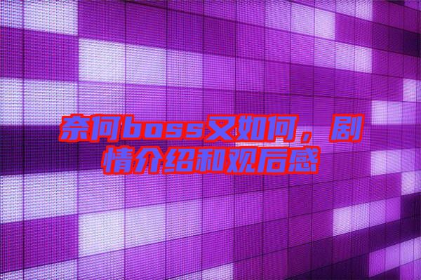 奈何boss又如何，劇情介紹和觀后感