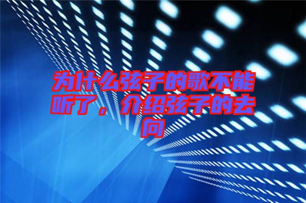 為什么弦子的歌不能聽(tīng)了，介紹弦子的去向