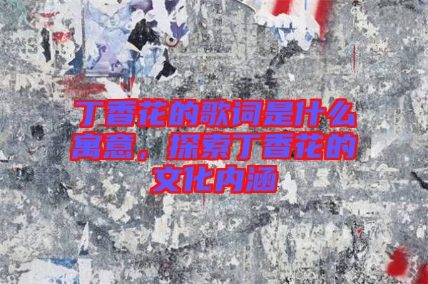 丁香花的歌詞是什么寓意，探索丁香花的文化內(nèi)涵