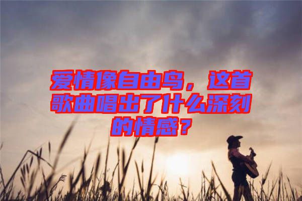 愛情像自由鳥，這首歌曲唱出了什么深刻的情感？